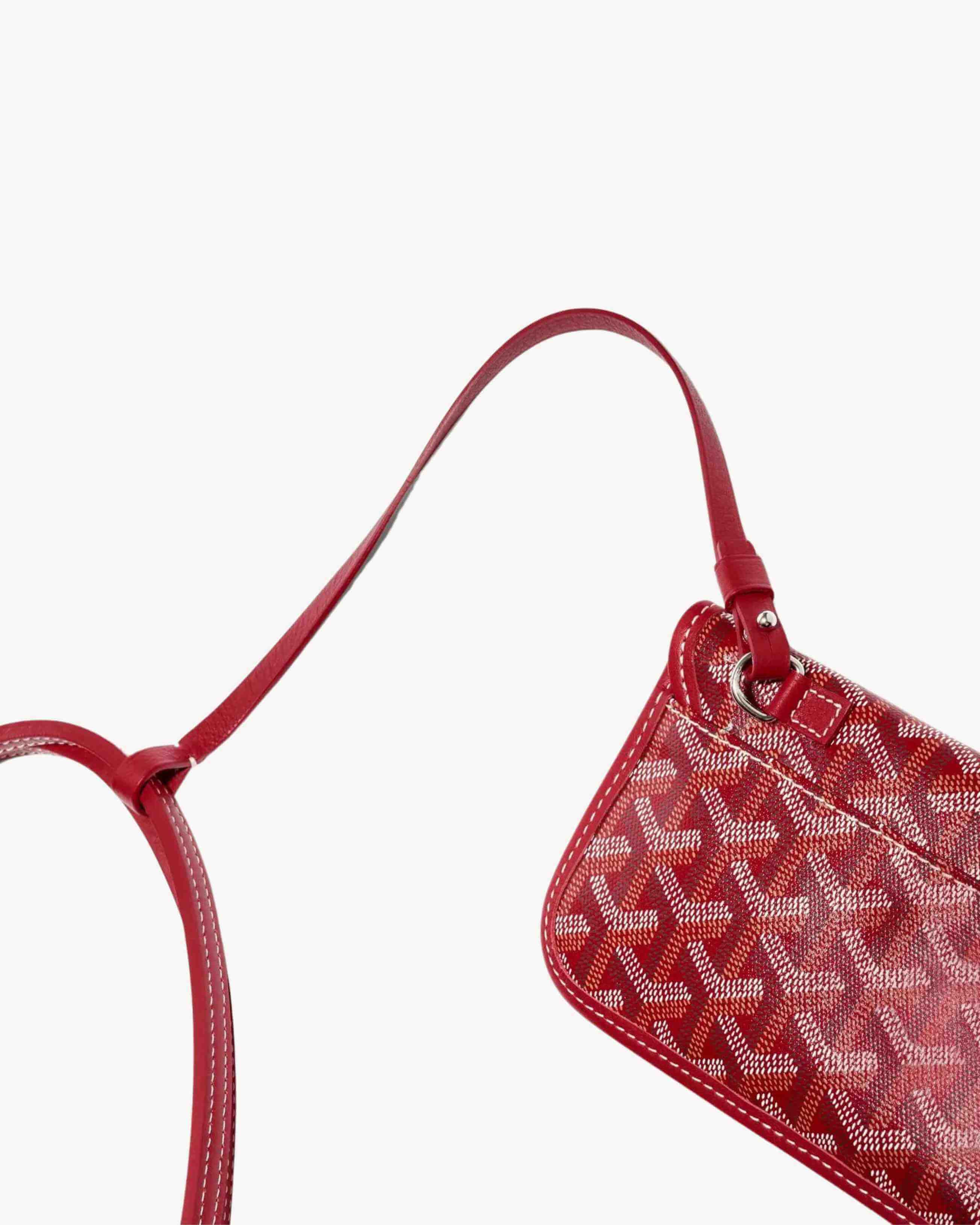 Goyard Saint Louis PM Bag